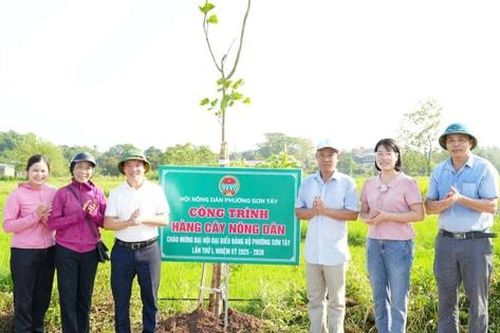Phường Sơn Tây chung tay xây dựng môi trường xanh - sạch - đẹp