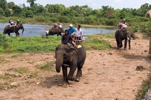 Được tài trợ hơn 2,2 triệu USD, vì sao voi nhà vẫn phải 'cõng' khách?
