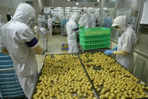 Củng cố sức cạnh tranh cho nông sản Việt