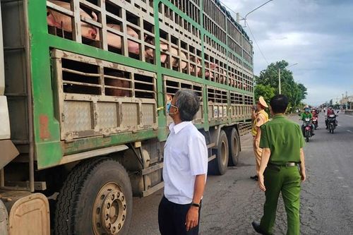 Gia Lai tăng cường phòng chống dịch tả lợn châu Phi