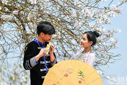 Định hình hình ảnh Việt Nam trên trường quốc tế