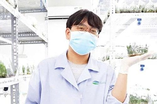 Khánh Hòa: Người nông dân no ấm nhờ cây nha đam