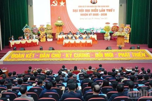 100 Đảng bộ cấp trên trực tiếp cơ sở tỉnh Quảng Ngãi hoàn thành đại hội đảng bộ các cấp