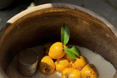 Còn trong khạp gạo…