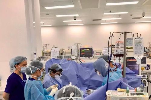 Bé trai trụy tim mạch, thoát cửa tử sau 14 ngày