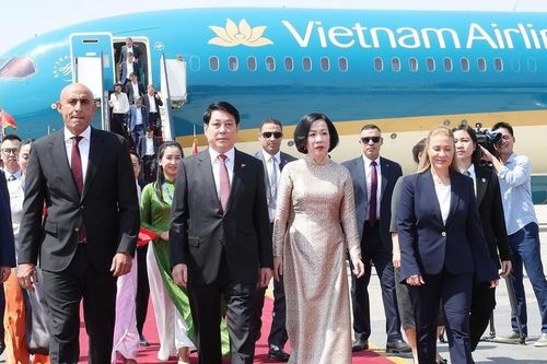 Chủ tịch nước Lương Cường và Phu nhân đến Cairo, Ai Cập