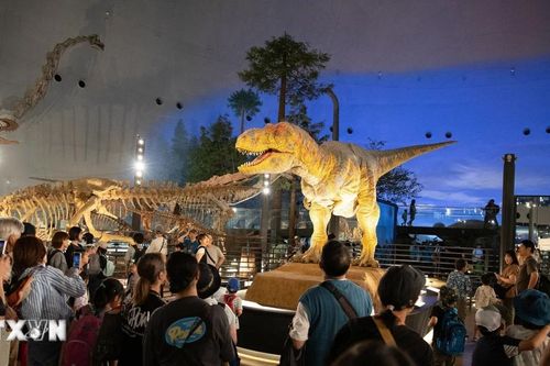 Bảo tàng Khủng long Fukui - Hành trình khám phá thế giới tiền sử tại Nhật Bản