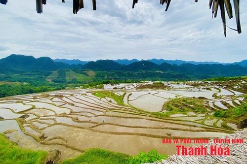 Đại ngàn vẫy gọi...