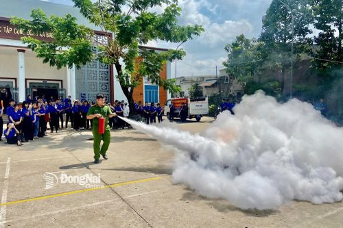 Khắp nơi trong tỉnh ngày 3-8-2025