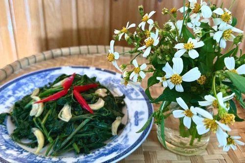 Món ngon từ xuyến chi