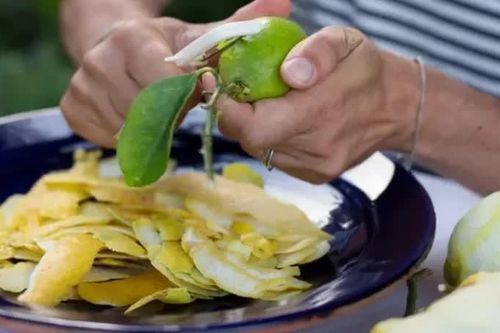 Cách biến vỏ trái cây thành những món mứt thơm ngon