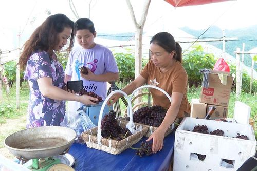 Trao quyền kinh tế cho phụ nữ vùng cao