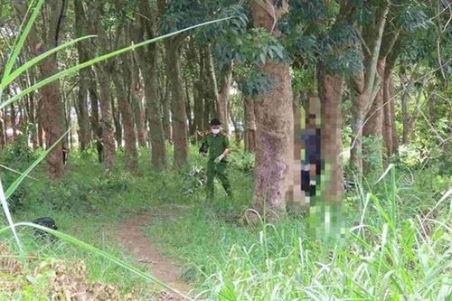 Phát hiện người đàn ông tử vong trong lô cao su ở Đồng Nai, hiện trường có gì?