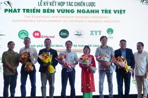 Ra mắt Quỹ Phát triển Tre Việt với thông điệp 'Tre xanh, vì tương lai xanh'