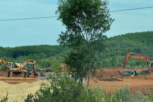 Yêu cầu Công ty Thiên Kim Bình Định thực hiện đúng theo quy định