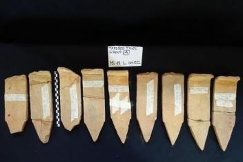 Đặt ra nhiều giả thuyết mới