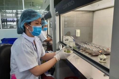 Giúp nông dân tiếp cận nông nghiệp công nghệ cao