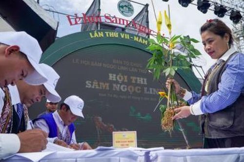 Lễ hội Sâm Ngọc Linh lần thứ VII mang về hơn 5 tỷ đồng