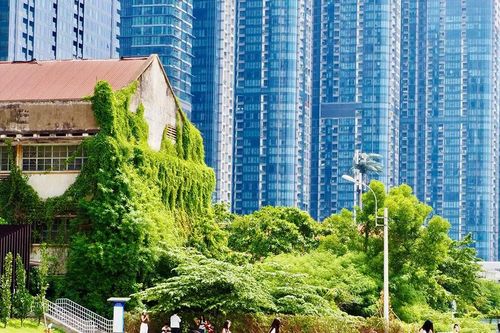 Tiếng còi tàu còn vang vọng
