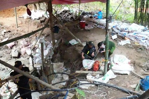 Lật tẩy bí mật nằm sâu trong vườn nhà người đàn ông ở Tuyên Quang