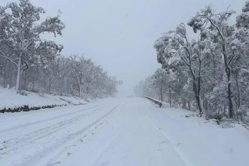 Hình ảnh tuyết rơi dày bất thường ở Australia