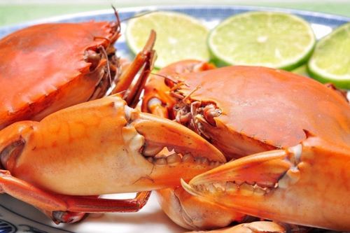 Cà Mau phấn đấu trở thành trung tâm nuôi cua lớn nhất Đồng bằng sông Cửu Long và cả nước