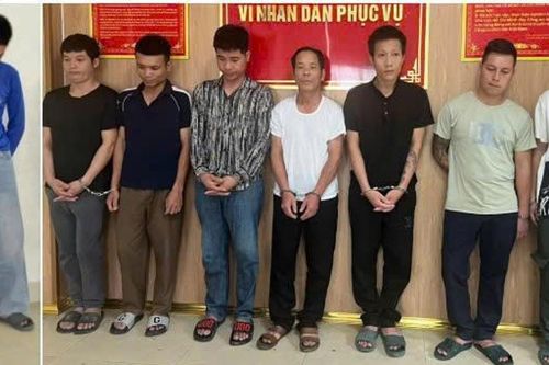 Nghệ An: Triệt phá ổ nhóm trộm và tiêu thụ hơn 2 tấn chó