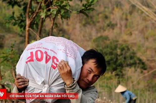 Thanh Hóa quy định không vượt quá 42 phó giám đốc sở