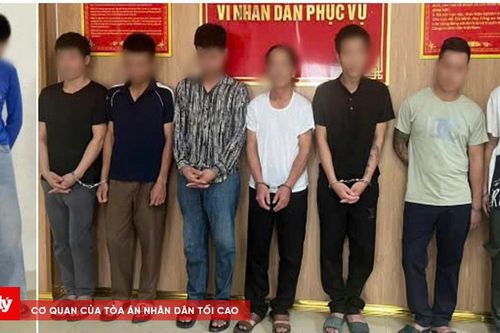 Triệt phá đường dây trộm chó và tài sản có tổ chức