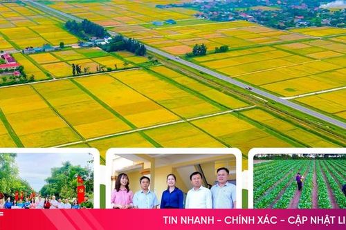Ý Đảng lòng dân hòa quyện, dựng xây Đồng Tiến vươn tầm mới