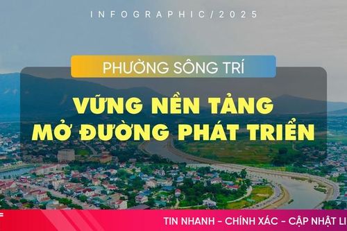 Infographic: Phường Sông Trí vững nền tảng - mở đường phát triển