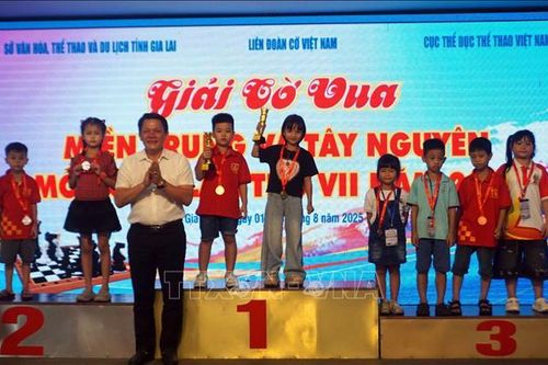 Giải Cờ Vua miền Trung và Tây Nguyên cống hiến cho người hâm mộ nhiều ván cờ gay cấn và kịch tính