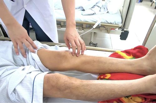 Giun chó mèo 'ăn' vào não vì nuôi thú cưng bẩn, ăn uống nguy hiểm