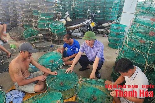 Ngọc Sơn khai thác tiềm năng, lợi thế để bứt phá