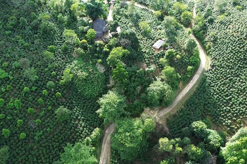 Nuôi hy vọng trên đất dốc Tát Hẹ