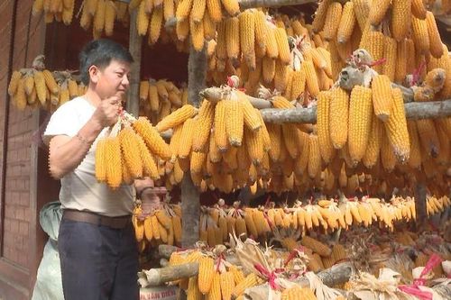 Thành công từ mô hình kinh tế tổng hợp