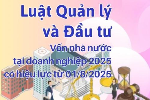 Luật Quản lý và Đầu tư vốn nhà nước tại doanh nghiệp