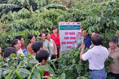 Đa dạng hóa cây trồng, nâng cao hiệu quả sản xuất