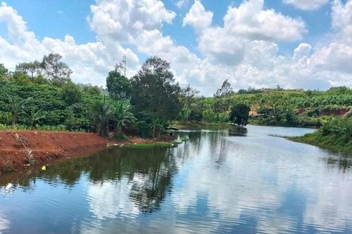 Lâm Đồng: Rủ nhau đi câu cá, bé trai 10 tuổi bị đuối nước tử vong