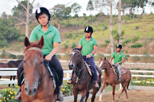 Lâm Đồng lần đầu tổ chức Giải cưỡi ngựa phong trào vượt địa hình