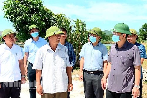 Kiểm tra công tác phòng, chống dịch tả lợn châu Phi tại phường Yên Thắng và Yên Sơn