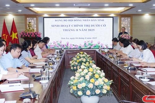 Đảng bộ HĐND tỉnh tổ chức sinh hoạt chính trị dưới cờ tháng 8/2025