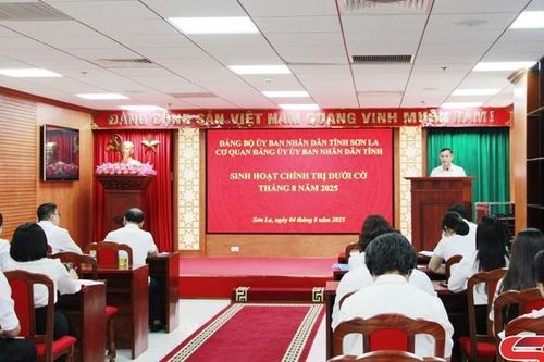 Cơ quan Đảng ủy UBND tỉnh tổ chức sinh hoạt chính trị dưới cờ tháng 8