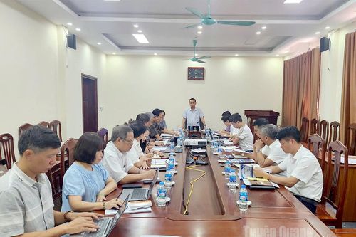 Nghiên cứu, bảo tồn, phát triển giống bò H'Mông