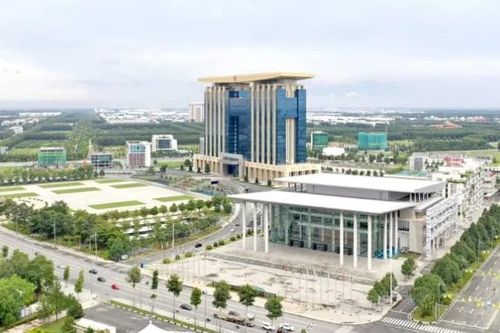 Bình Dương cũ bùng nổ nguồn cung căn hộ sau khi sáp nhập vào Tp.HCM