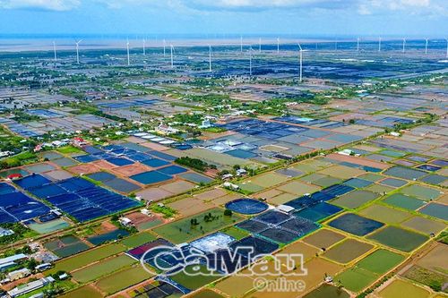 Biển bạc Cà Mau – Trụ cột phát triển vùng đất cực Nam