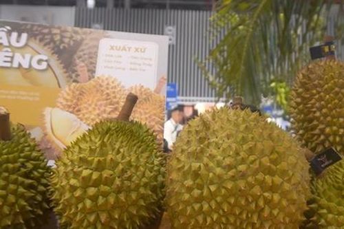 Lần đầu tiên ban hành quy trình kiểm soát an toàn với sầu riêng xuất khẩu