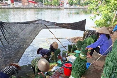 Đại hội đại biểu Đảng bộ xã Phúc Lộc lần thứ I, nhiệm kỳ 2025-2030:Hướng tới trung tâm nông nghiệp sinh thái kiểu mẫu của Thủ đô