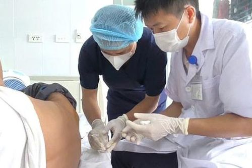 Cảnh báo viêm màng não do nhiễm giun lươn và giun đũa chó mèo