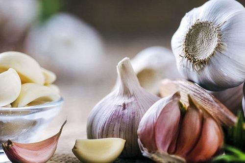 Tác dụng chữa bệnh của 7 loại thảo mộc phổ biến